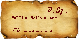 Páles Szilveszter névjegykártya